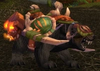 Image of Amani Bear