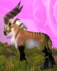 Image of Talbuk Doe
