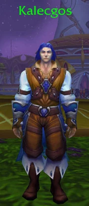 Kalecgos in his half-elf form, in the Magisters' Terrace