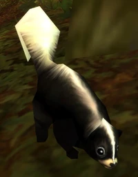 Image of Mountain Skunk
