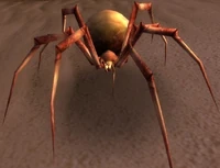 Image of Rock Stalker