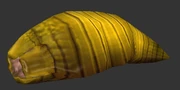 Hive'Zara Larva