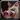 Mangled Snout