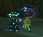 Troll Shaman wearing the hat, with the Coyote Spirit on use effect at his side.