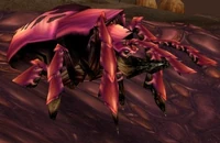 Image of Hive'Regal Burrower