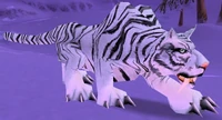 Image of Frostsaber