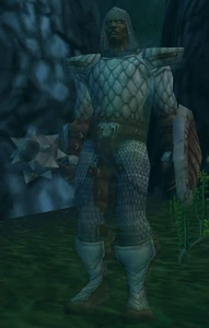 Image of Cursed Paladin