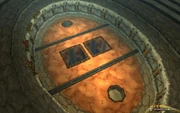 The arena floor.