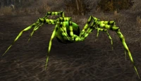 Image of Darkmist Spider