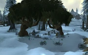 The Frozen Glade