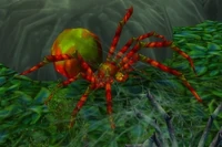 Image of Razzashi Broodwidow