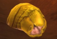 Image of Borelgore