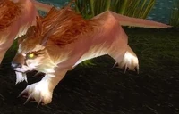 Image of Amani Lynx