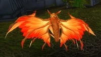 Image of Amani Dragonhawk