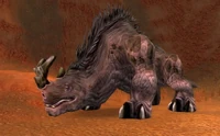 Image of Wooly Kodo