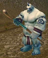 Image of Mo'grosh Shaman