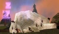 Image of Korf