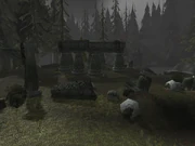 The Grove of the Ancients
