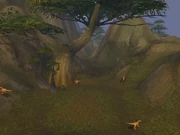 Raptor Ridge