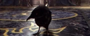 Medivh's raven form