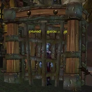 Cages with prisoners