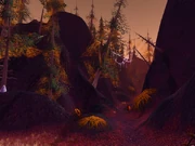Amberweb Pass