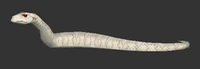 Image of Deviate Python