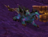 Image of Warpy