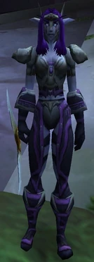 Image of Darnassus Sentinels
