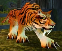 Image of Kurzen War Tiger