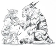 A male transformed savagekin and a female night elf from Alliance Player's Guide