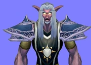 A male night elf wearing the Pauldrons of Arcane Rage