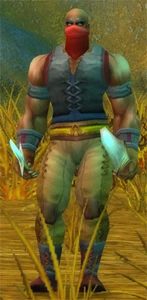 Image of Defias Highwayman