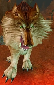 Image of Barnabus