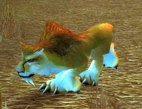 Image of Savannah Matriarch