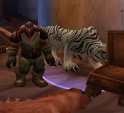 Brightbeard at the level of 49.