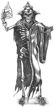 Skeletal mage artwork