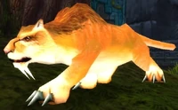 Image of Amani Lynx Cub