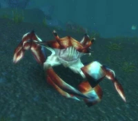 Image of Crusty