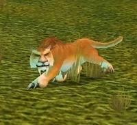 Image of Mountain Cougar