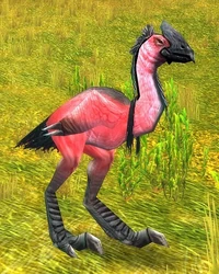 Image of Mazzranache