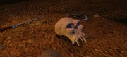 The Skull of Gul'dan tossed aside after the portal is closed.