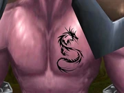 The demon seal to surpress the demonic energy within Cirdale.