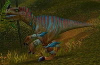 Image of Lashtail Raptor