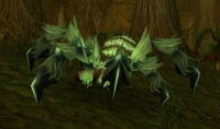 Image of Blackfang Tarantula