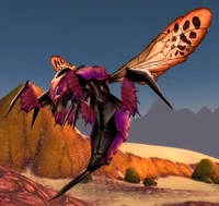 Image of Centipaar Wasp