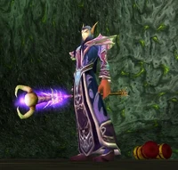 Image of Sunfury Warlock