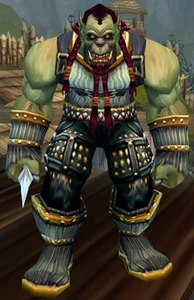 Image of Drum Fel
