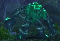 Image of Shadethicket Oracle