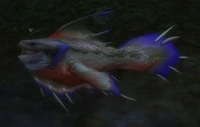 Image of Rainbow Trout